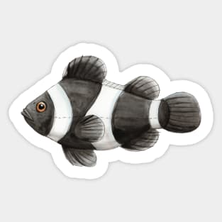 Black Clown Fish in Watercolor Sticker